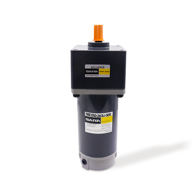 250W štětce DC Gear Motors