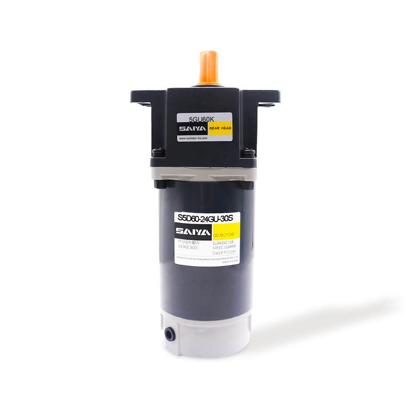 60W štětce DC Gear Motors